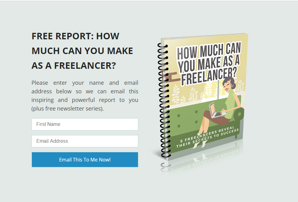 Freelance Report